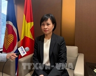 Citizen protection ready for Vietnamese following Hong Kong deadly fire